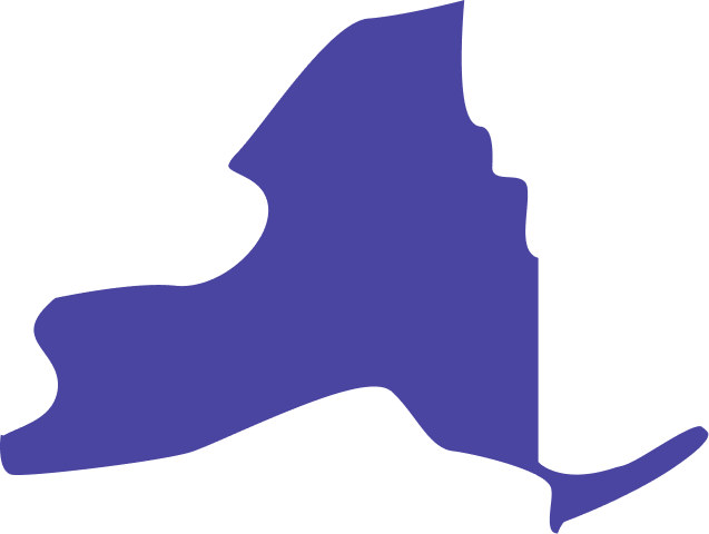 Map of New York showing Albumza availability